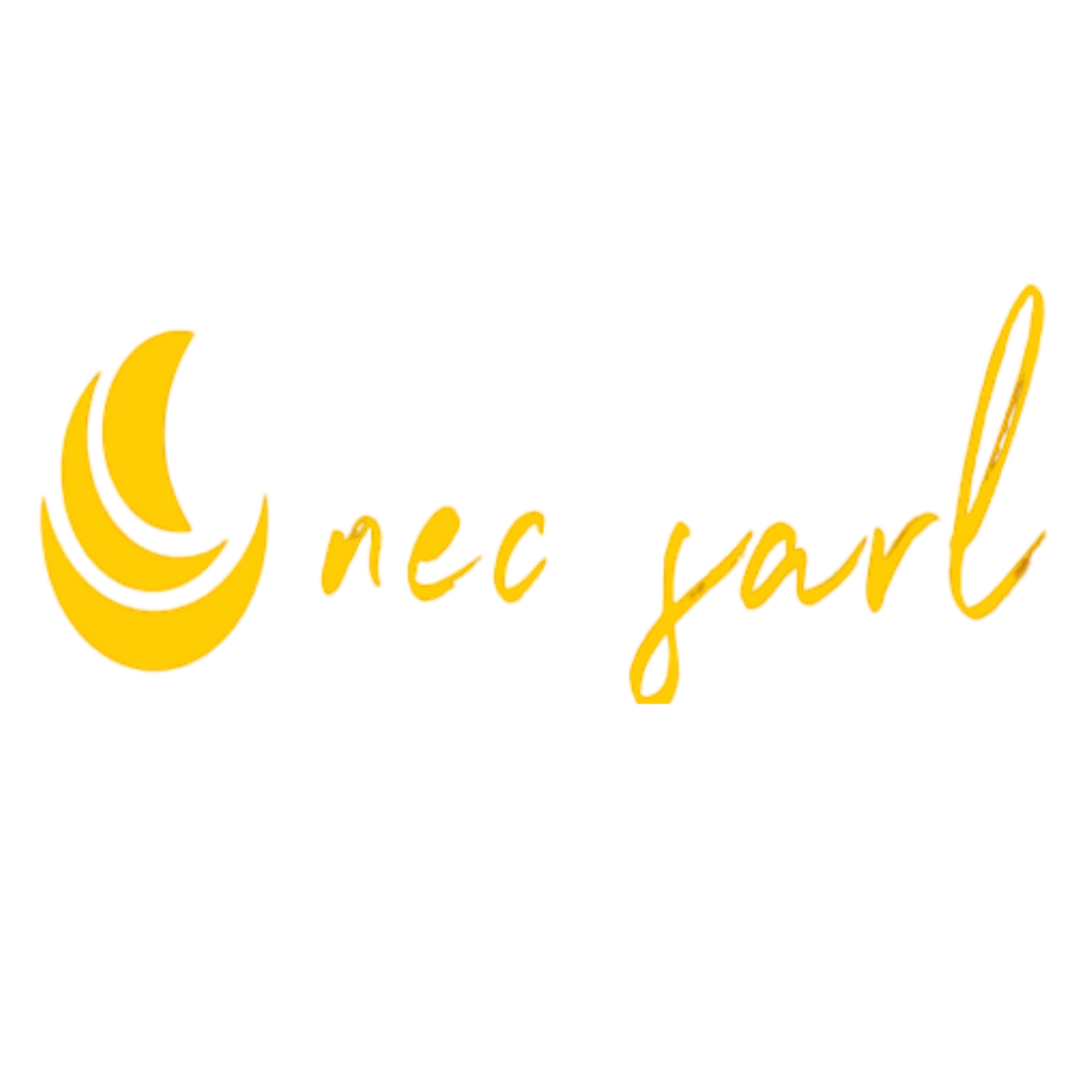 Nsaigai Engineering and Construction Ltd. (NECSARL)